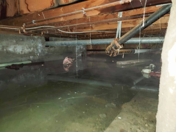 Best Commercial water damage restoration  in Santo Domingo Pueblo, NM