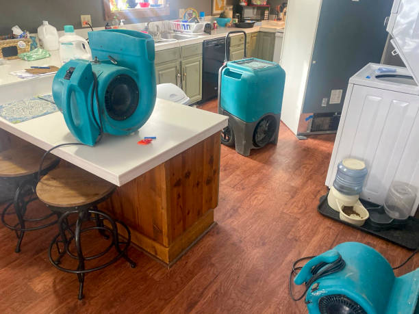 Best 24/7 water damage repair  in Santo Domingo Pueblo, NM