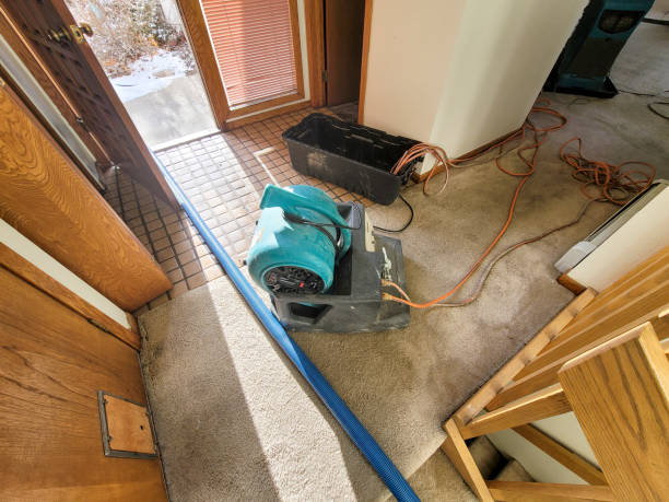 Best Water damage restoration near me  in Santo Domingo Pueblo, NM