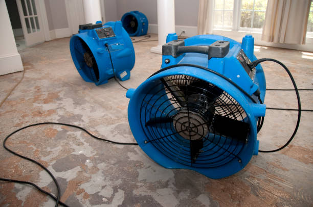 Best Flood restoration services  in Santo Domingo Pueblo, NM