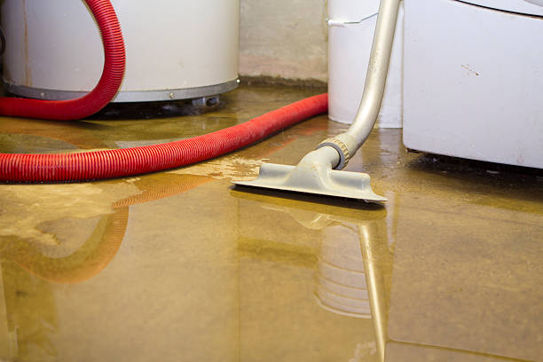 Best Water damage restoration near me  in Santo Domingo Pueblo, NM