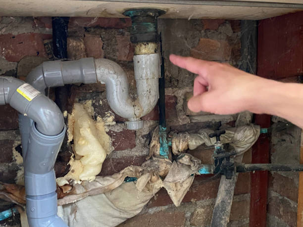 Best Sewage cleanup and water damage restoration  in Santo Domingo Pueblo, NM