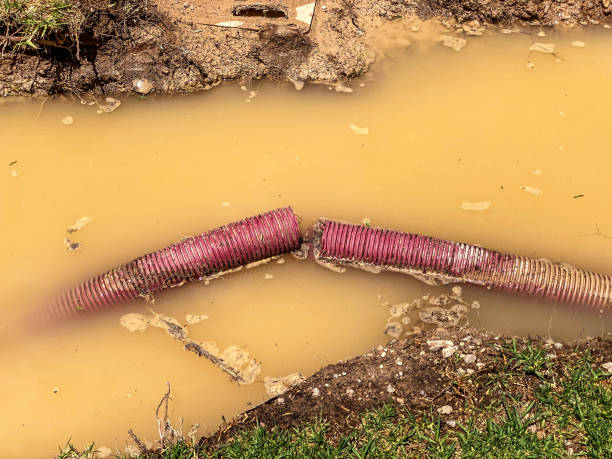 Best Emergency water damage restoration  in Santo Domingo Pueblo, NM
