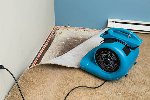 Best Residential water damage restoration  in Santo Domingo Pueblo, NM
