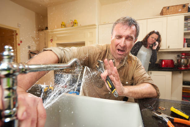 Best Local water damage restoration  in Santo Domingo Pueblo, NM